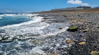 2024-03-Playa_Boca-Barranco--Jinamar-31.jpg